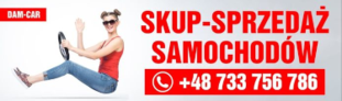 spot_img