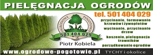 spot_img